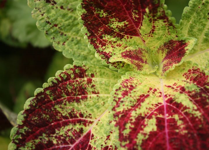 [The+big+move+take+2+216.jpg]