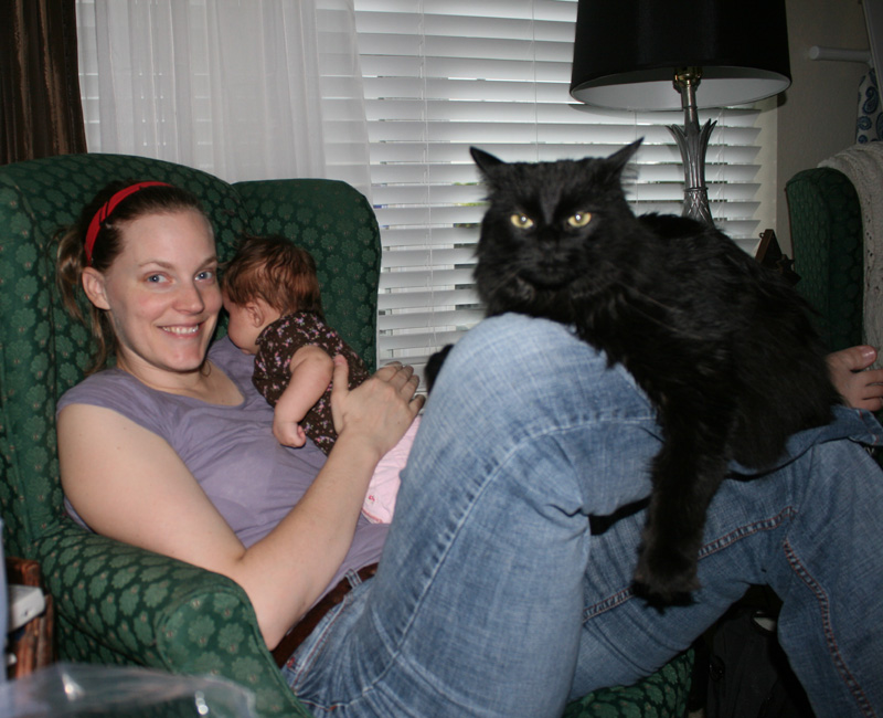 [IMG_2045+changed.jpg]