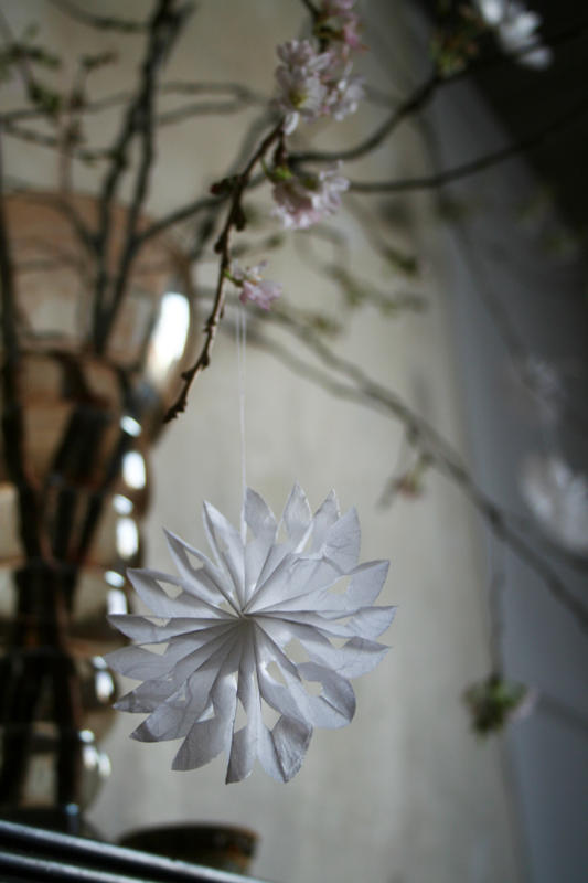 [Weihnachtssterne+(18+of+22).jpg]