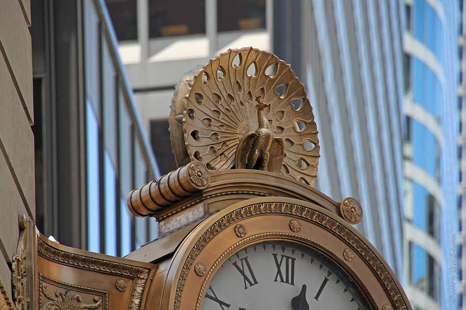 public-art-in-chicago-loop-peacock-door-at-the-c-d-peacock-jewelery