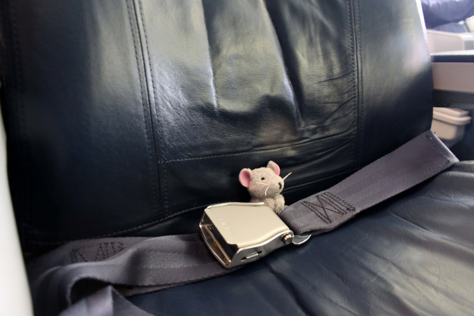 [plane_mouse.jpg]