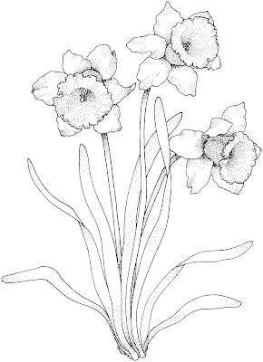 risco para pintura em tecido flores risco para pintura em tecido flores