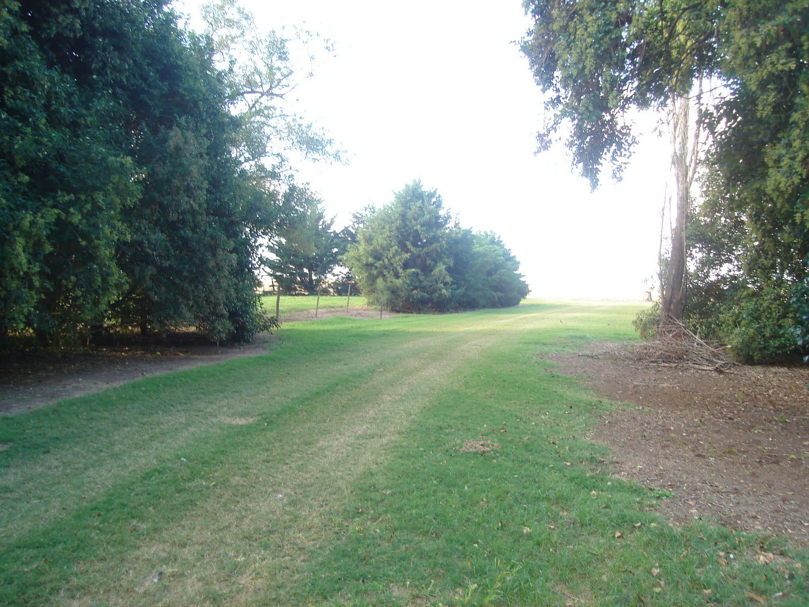 ESTUDIO DE PAISAJISMO: PROYECTOS JARDINES PRIVADOS