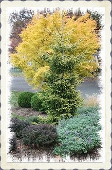 A GUIDE TO NORTHEASTERN GARDENING: Winterizing Your Garden: 12 Helpful Tips