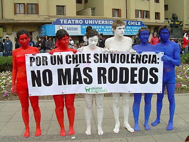 Animalistas en Chile
