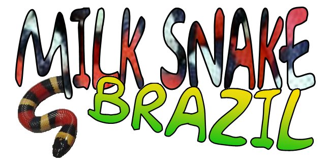 MILK SNAKE BRAZIL