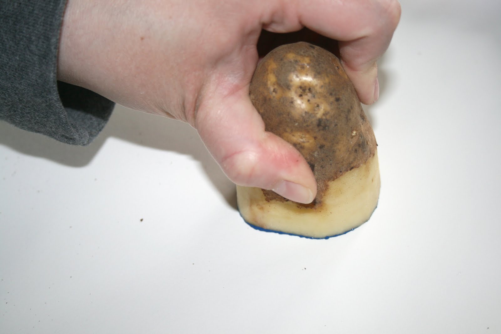 elle-and-kate-diy-potato-prints