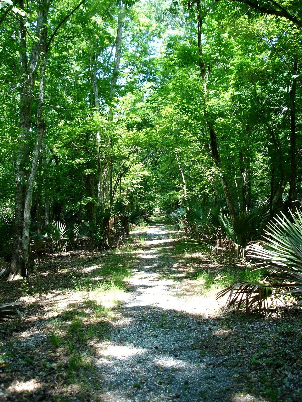 pic journal Wood Duck Trail
