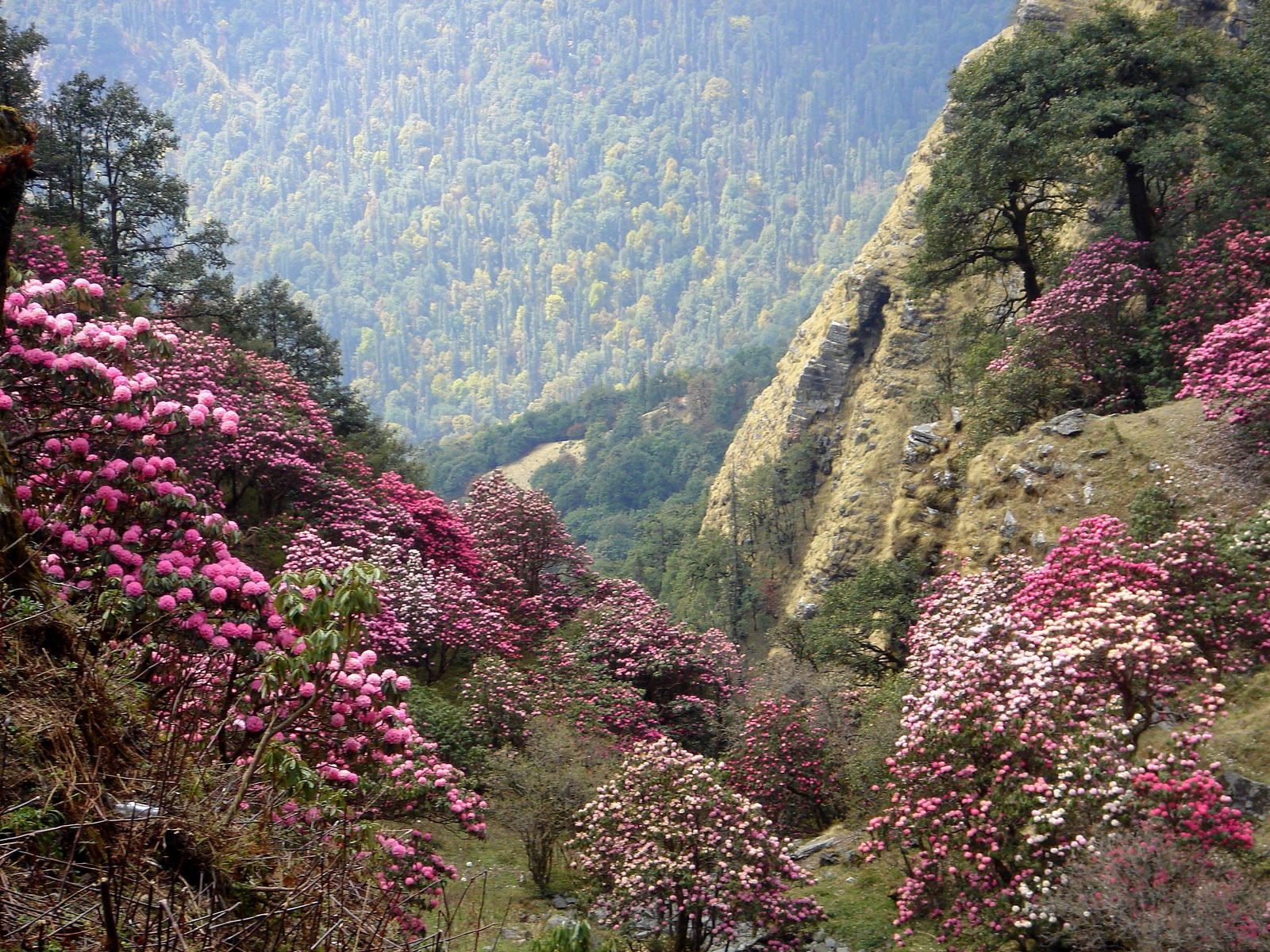 Индийская Швейцария