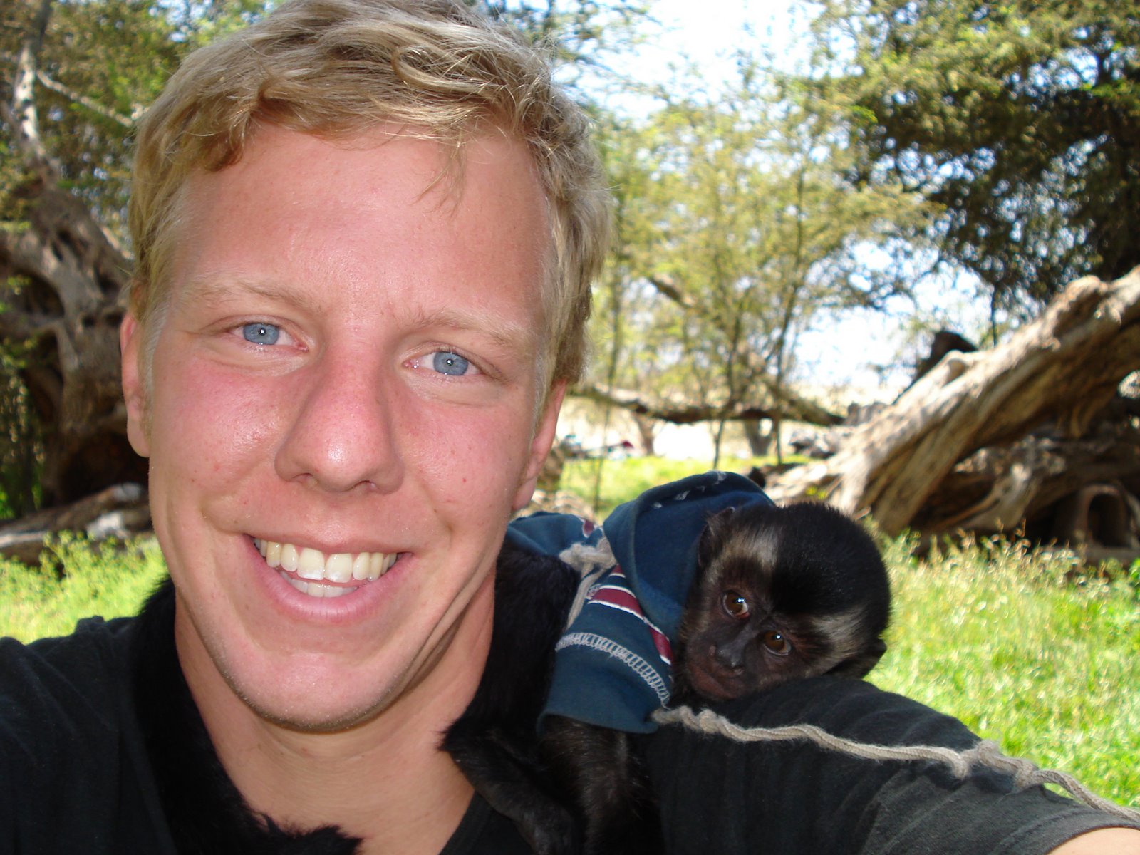 Living in a Powder Keg and Giving Off Sparks Perú's litter box, Huacachina