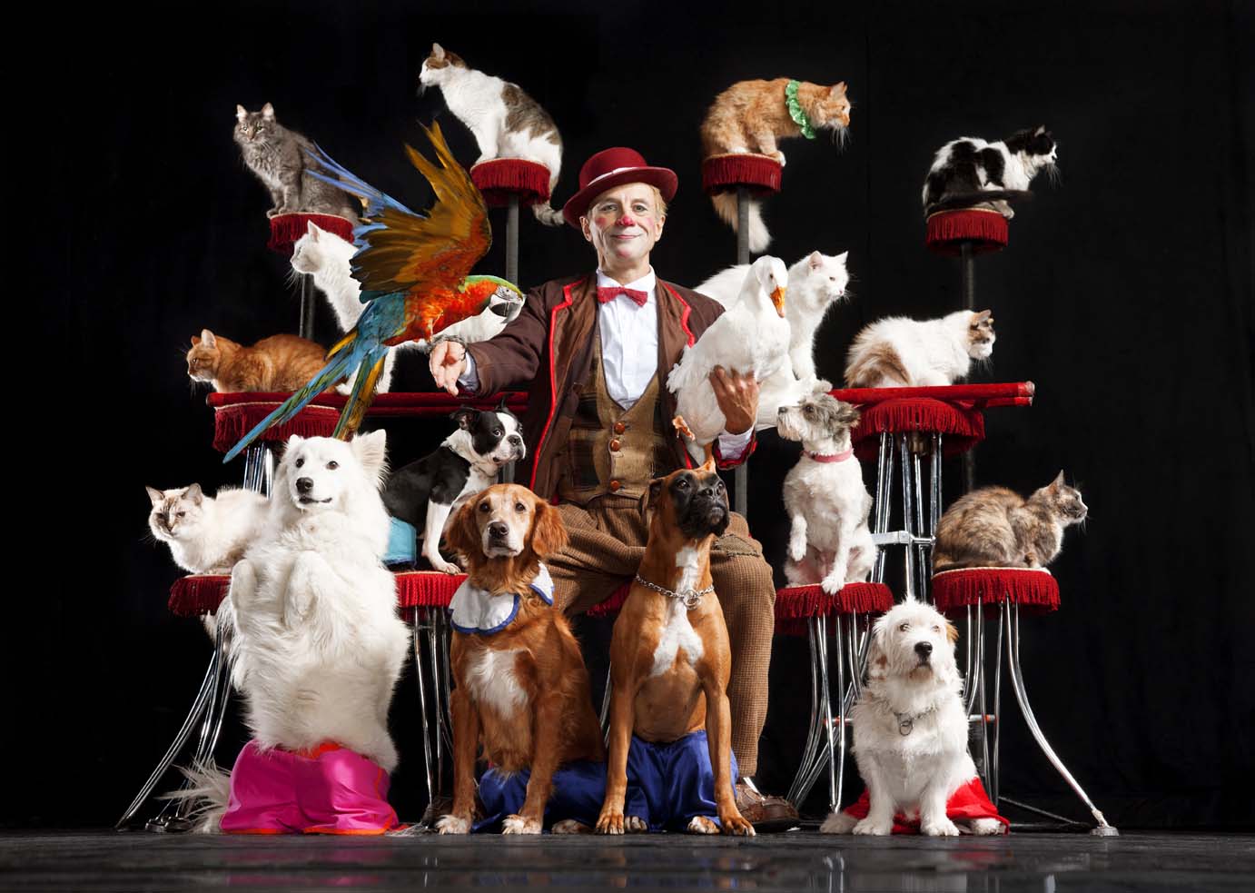 MATTHIAS CLAMER pet circus
