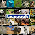 Kalau lah binatang ada facebook juga...