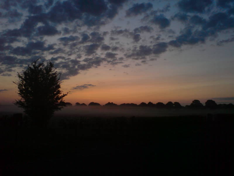 [image-upload-64-713757.jpg]