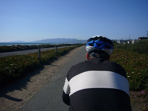 [3606334076_8a109cc207.jpg]