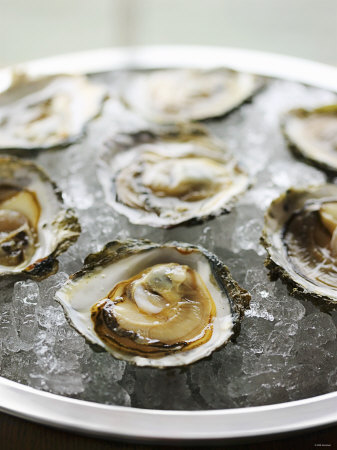 [oysters-on-ice.jpg]