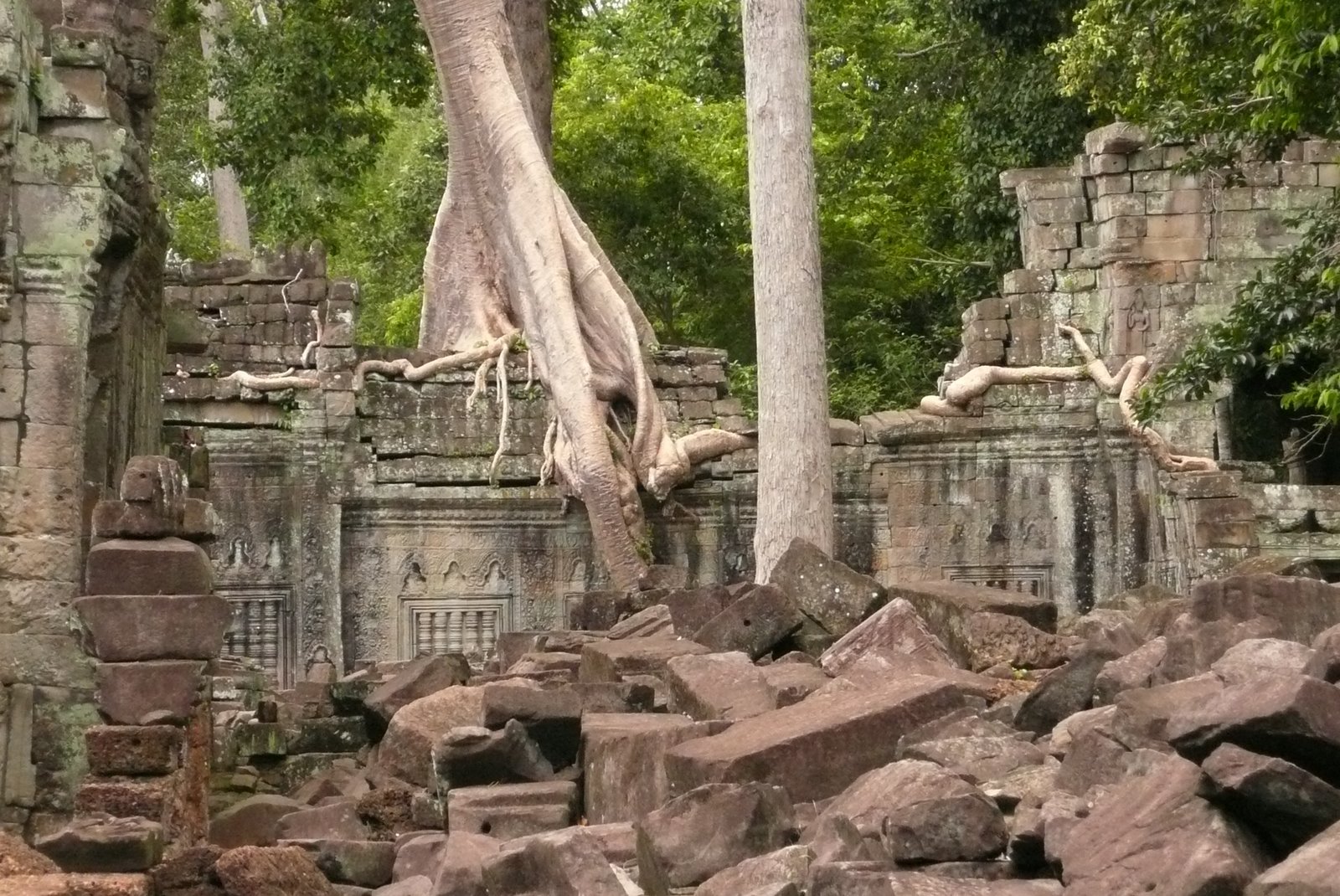 [P1020814.JPG]