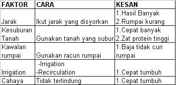 [pic4.JPG]