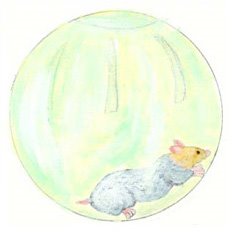 [hamster.jpg]