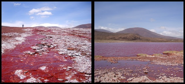 Laguna Roja en Chile