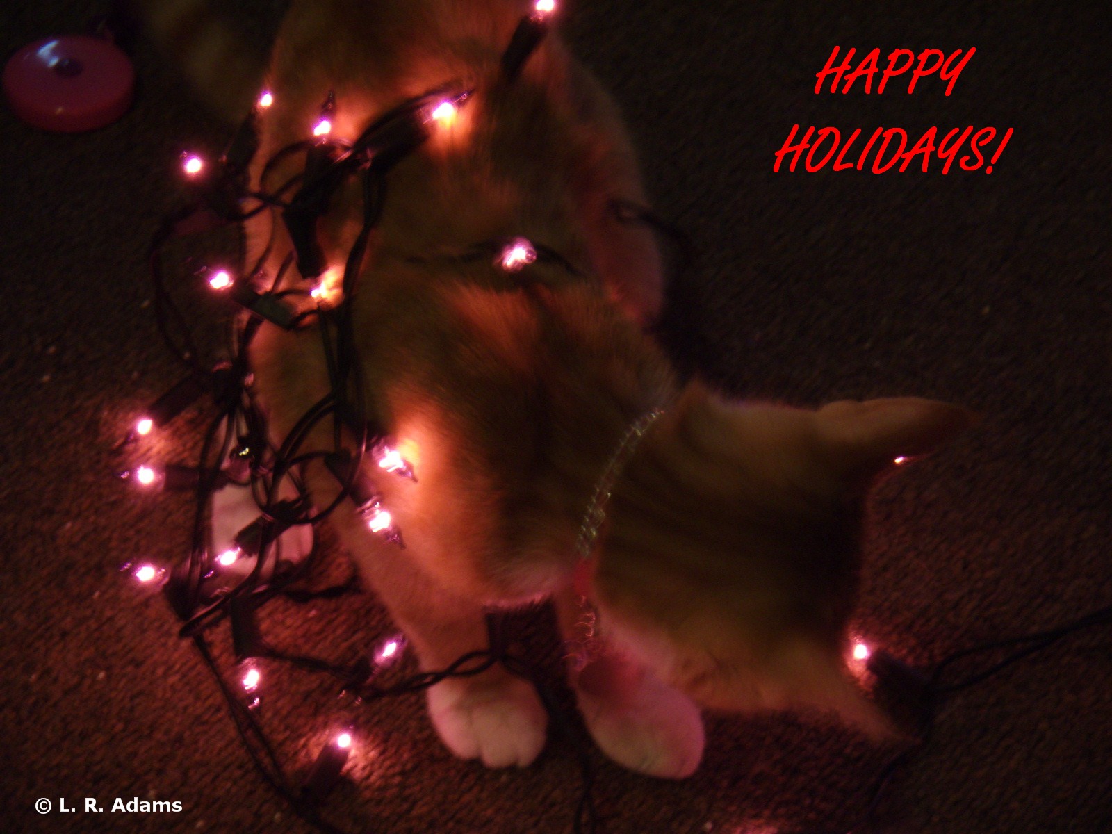 [QNYC+Happy+Holidays.JPG]