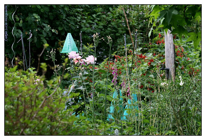 potager