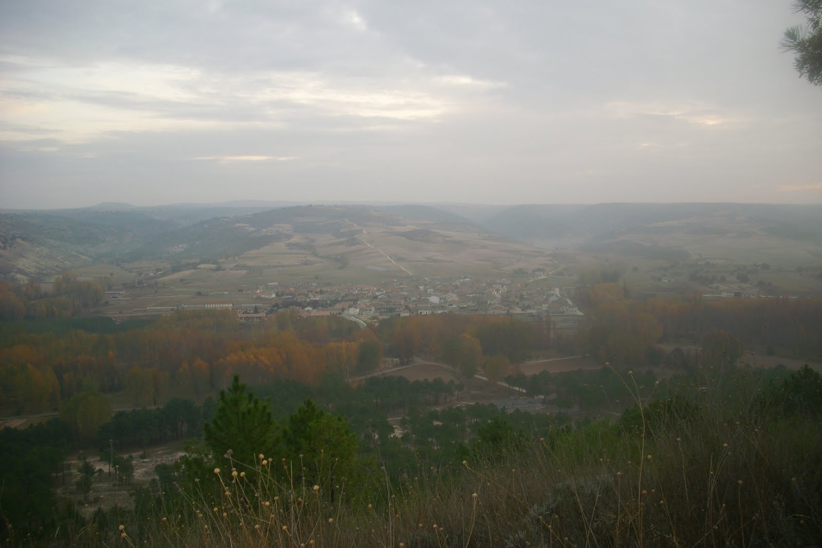 Carrascal del Río Las estaciones del año