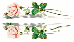 [1362386ler3it1aki.gif]