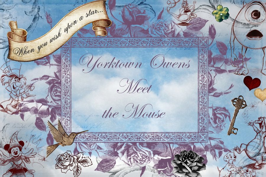 Yorktown Owens Meet The Mouse Cast Member Appreciation Cards yorktown-owens-meet-the-mouse-cast-member-appreciation-cards