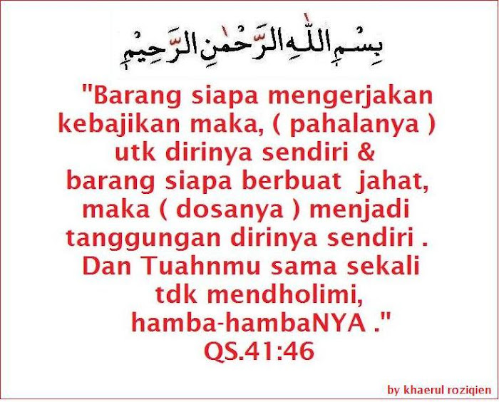DAMINDO damailah indonesia
