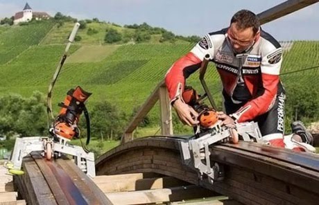 [rollercoasterskater.jpg]