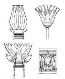[lotus.JPG]