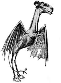 [jersey-devil.jpg]