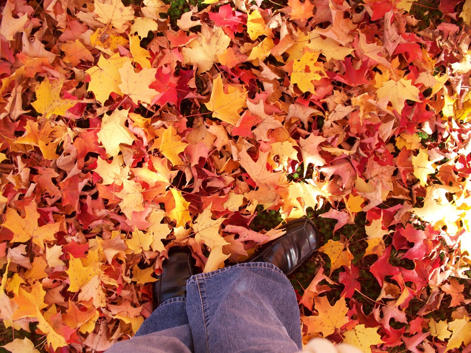 [100_0953.JPG]