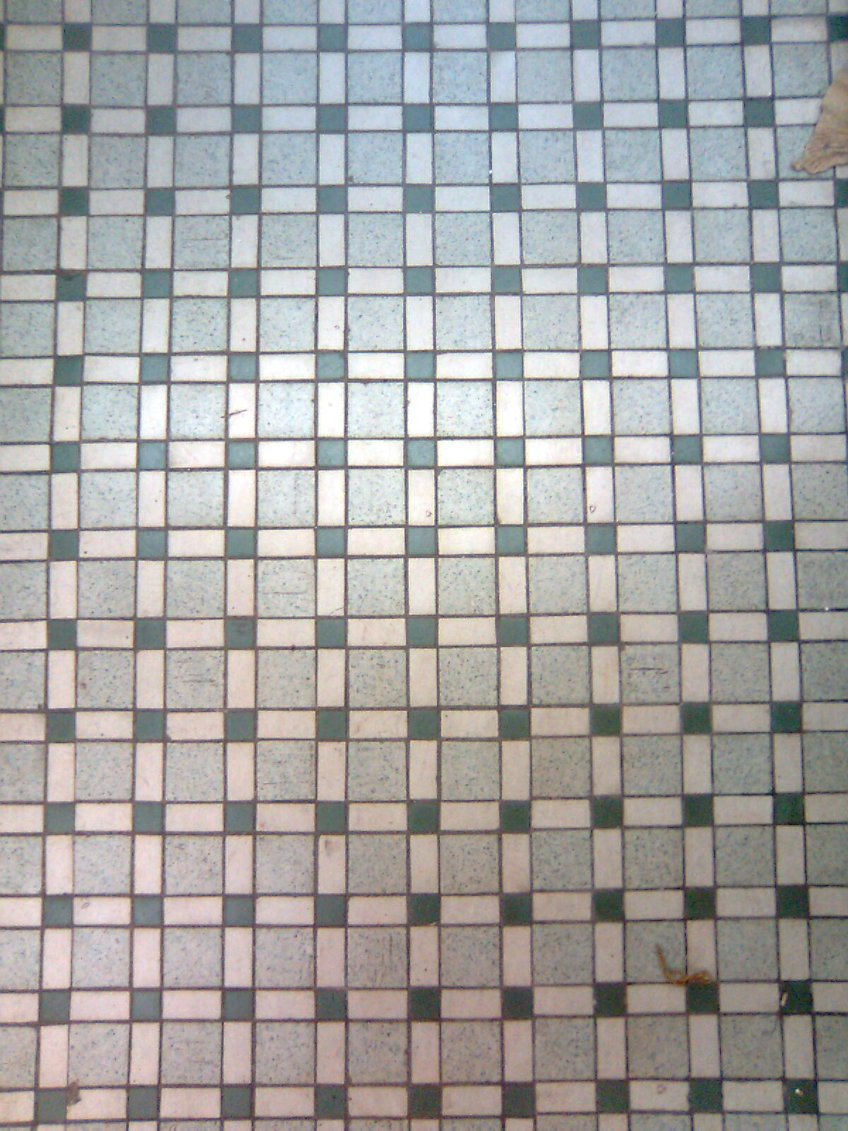 [floor.jpg]
