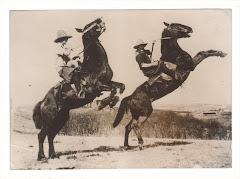 "Canadian Cowgirls Caper On Wild Horses"