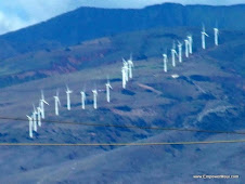 First wind's 20 wind Turbines as viewed from Wailea