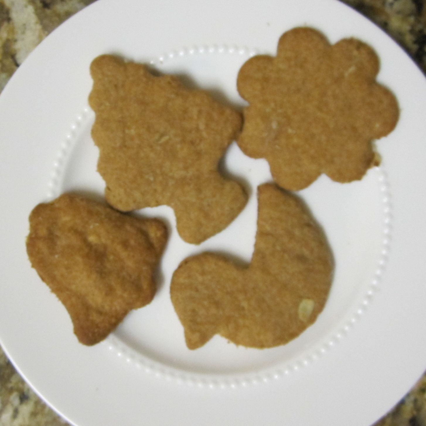FoxyChef's Kitchen Holiday Cookies (1/8) Dog Biscuits with Soy Milk