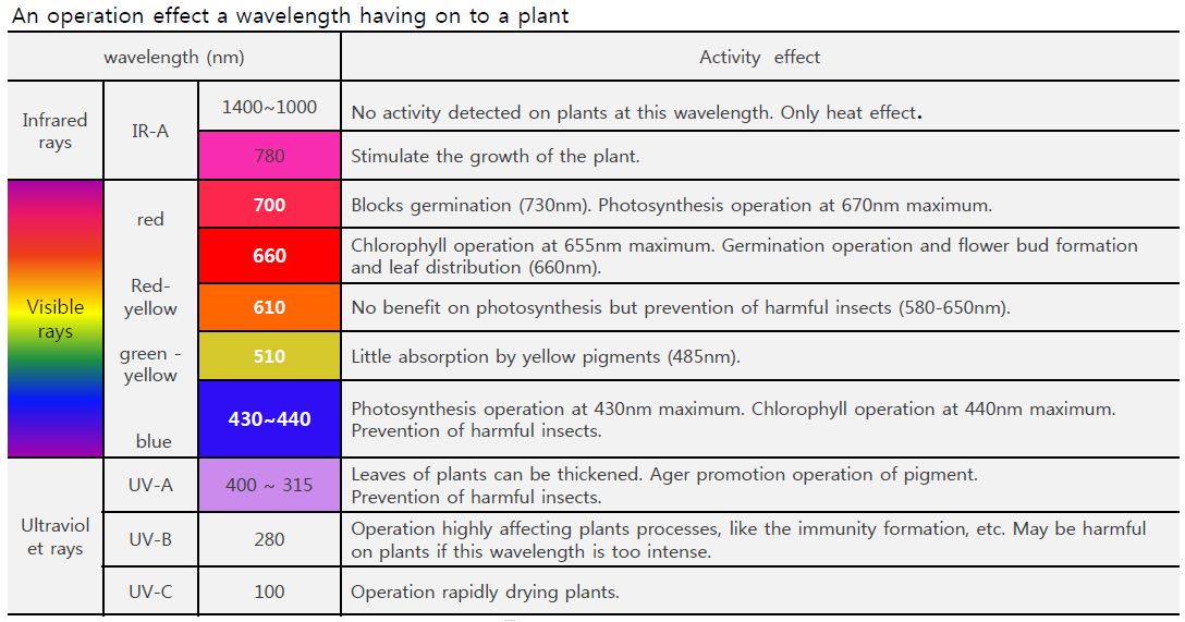 I want to bite some vegetables grown under LEDs. 3. How do plant grow