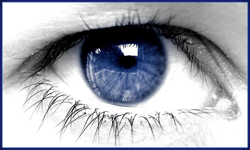 [20061227193112.jpg]