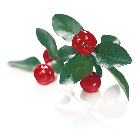 [Acerola+meyvesi.jpg]