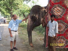 Brian with a baby Indian Elephant