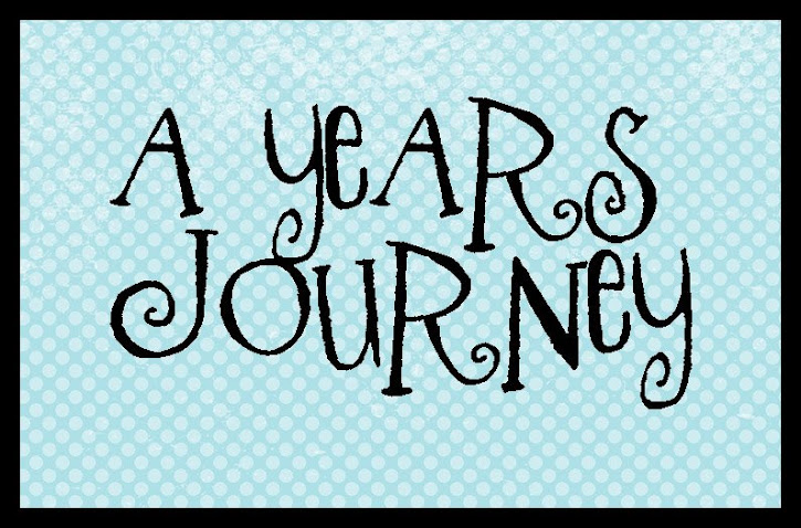 A Year's Journey