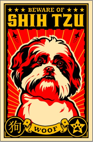 Shih tzu poster