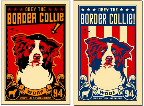 Border Collie posters