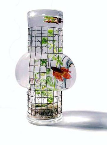 blown glass fish tanks