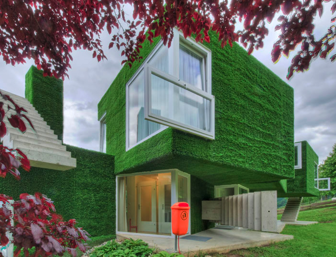 astroturf covered house