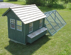 chicken coops coop chickens backyard raising coup living houses