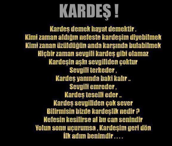 Arkada%25C5%259F.jpg