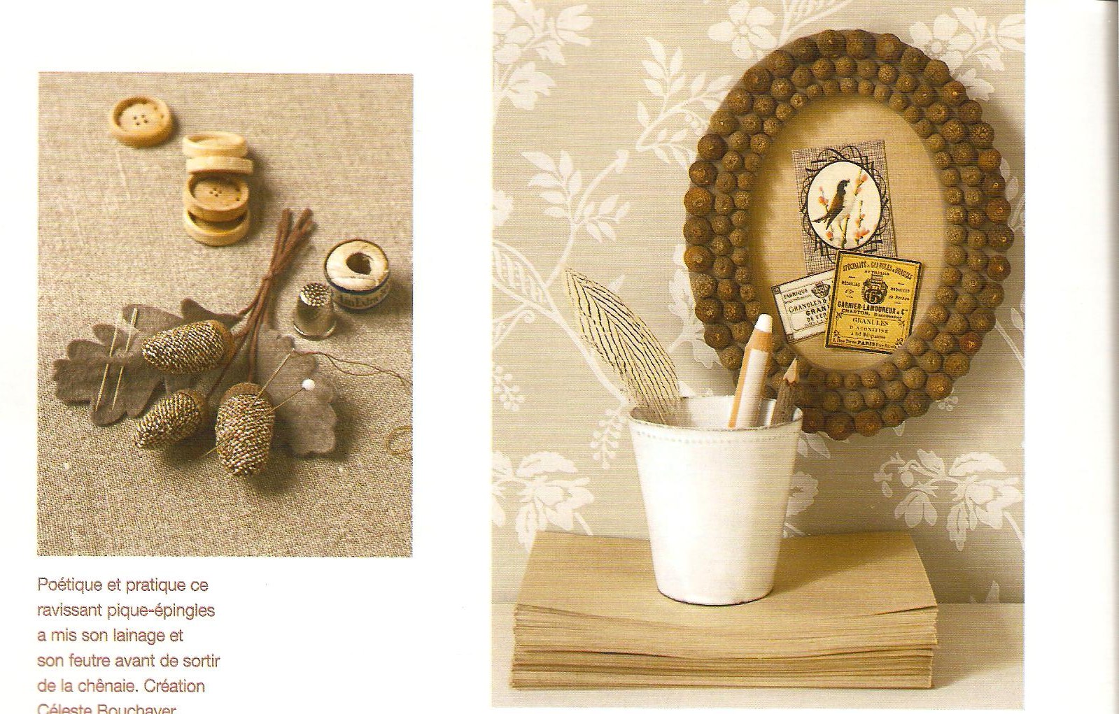 [pineconeneedle.jpg]