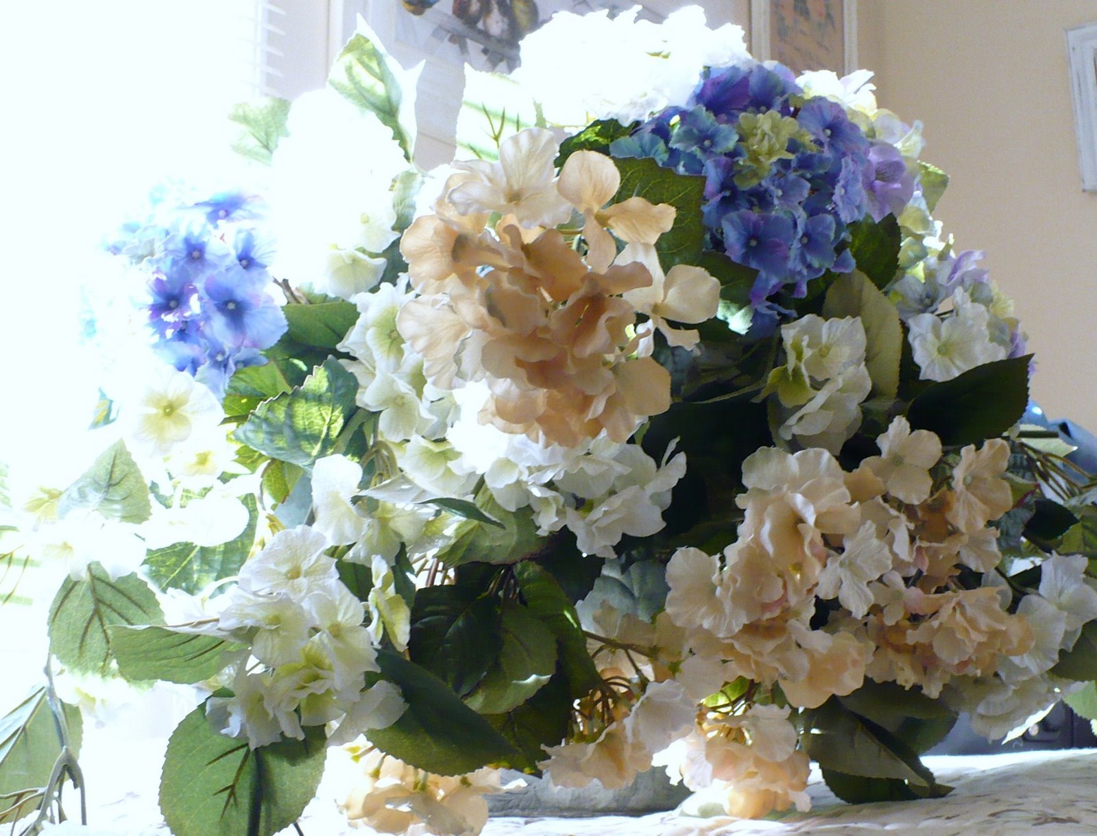 [hydrangea1.JPG]